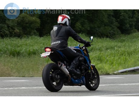 M 3901, Suzuki GSX-S Series