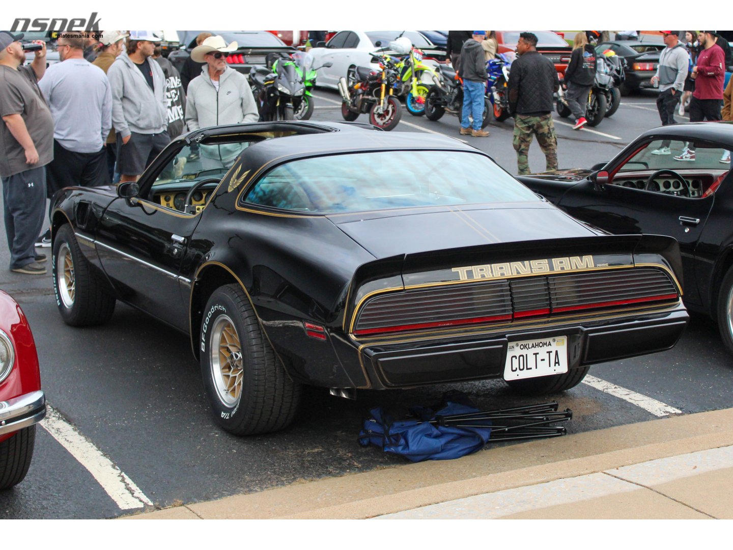 COLT-TA, Pontiac Firebird 2nd gen Targa (87; F-body), 2nd facelift, 1976–1978