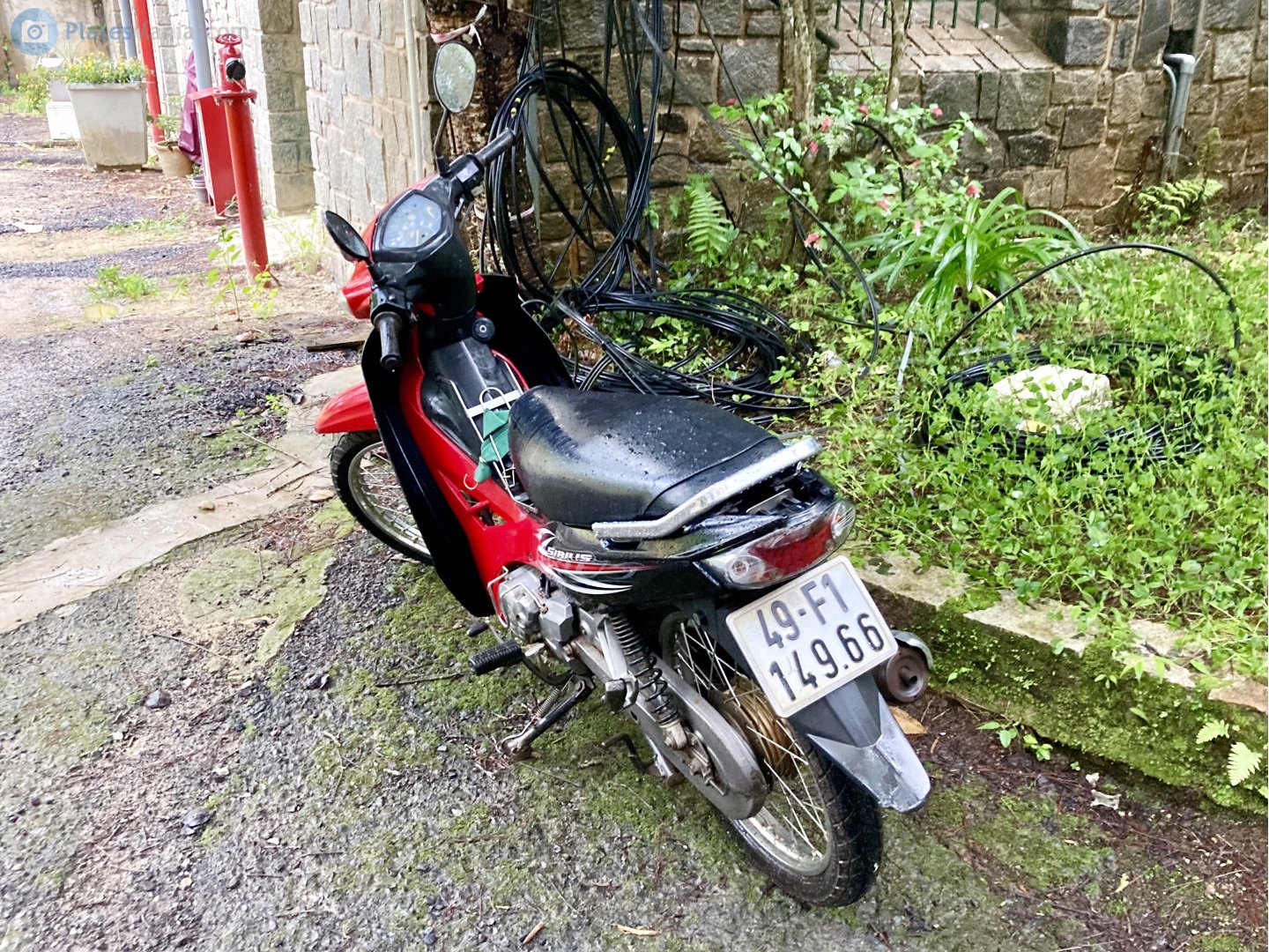 49-F1 149.66, Yamaha Sirius 