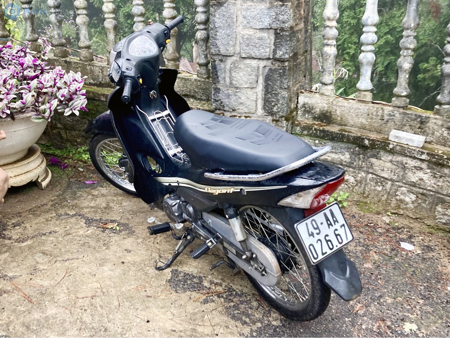 49-AA 026.67, SYM Elegant 