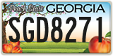 Georgia, ABC 1234
