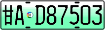 License plate of China, Electric vehicles