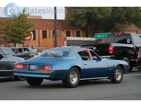 ELX 3920, Pontiac Firebird