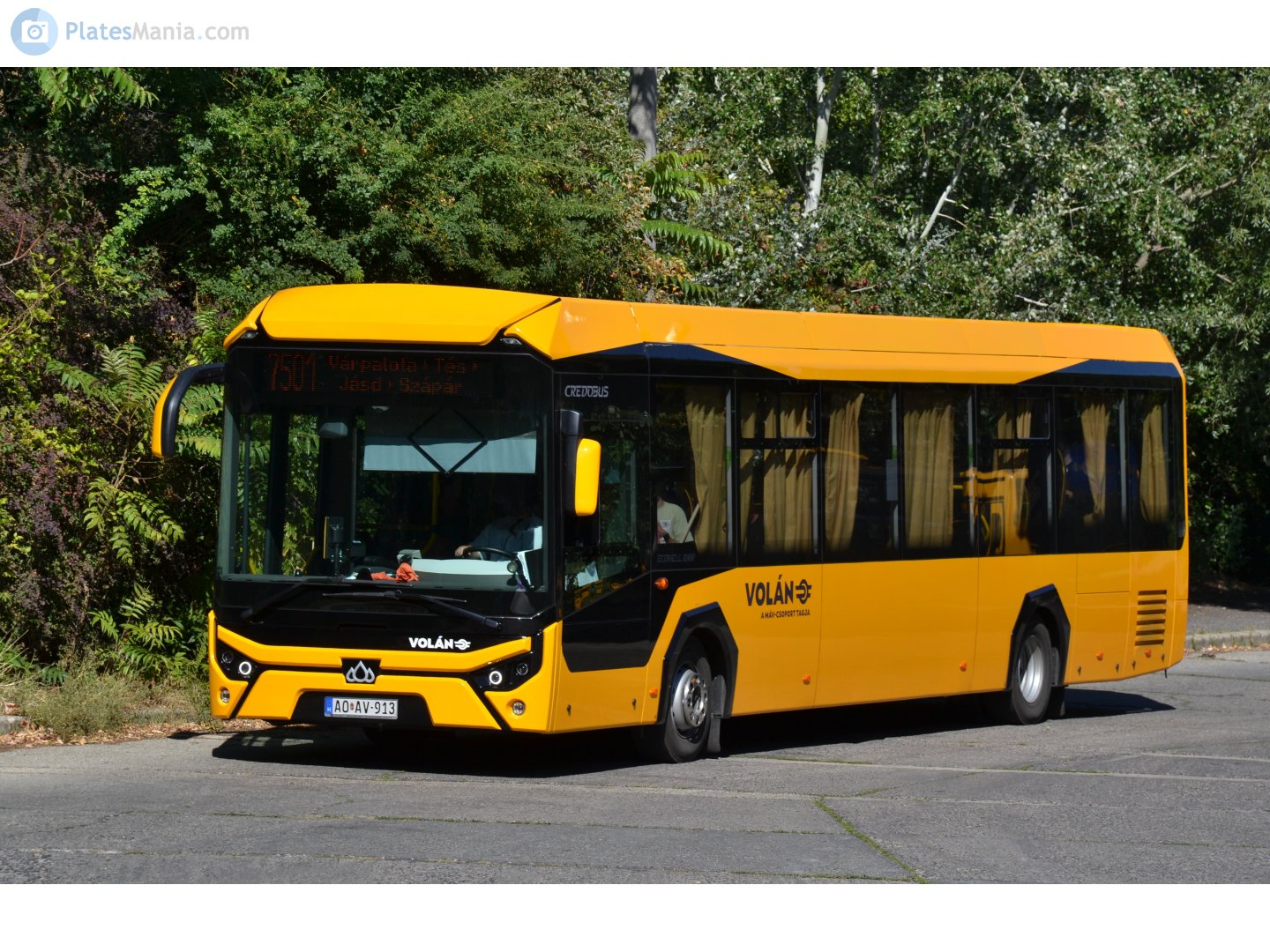 AO AV-913, Kravtex Credo Econell Next 