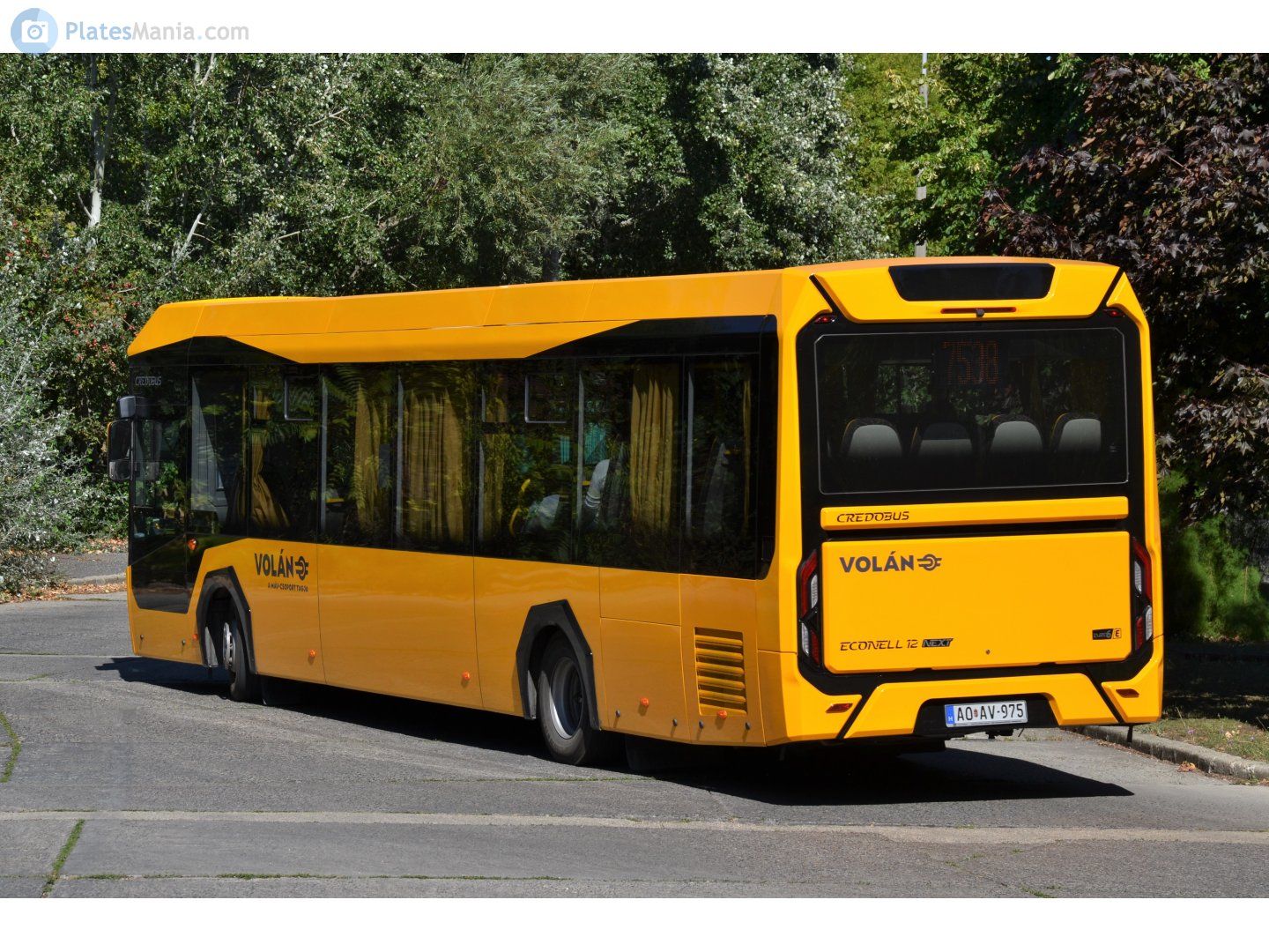 AO AV-975, Kravtex Credo Econell Next 