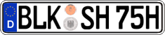 German license plate, Plates for oldtimers (type 
