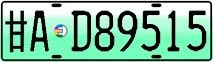 License plate of China, Electric vehicles