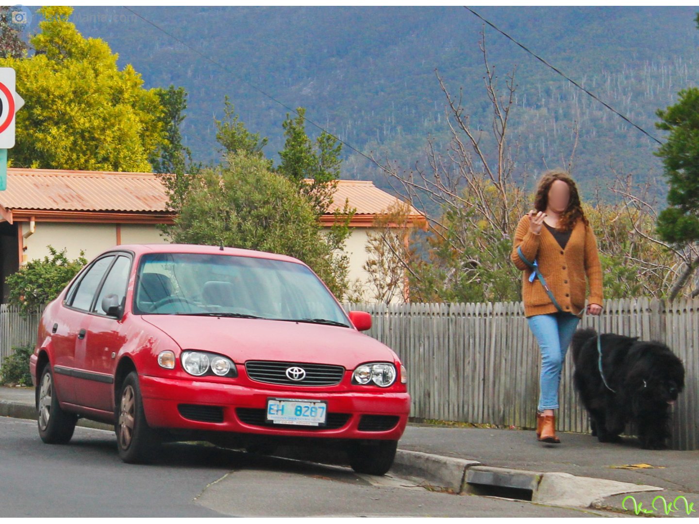 EH-8287, Toyota Corolla 8th gen Liftback (E110), 1995–2001