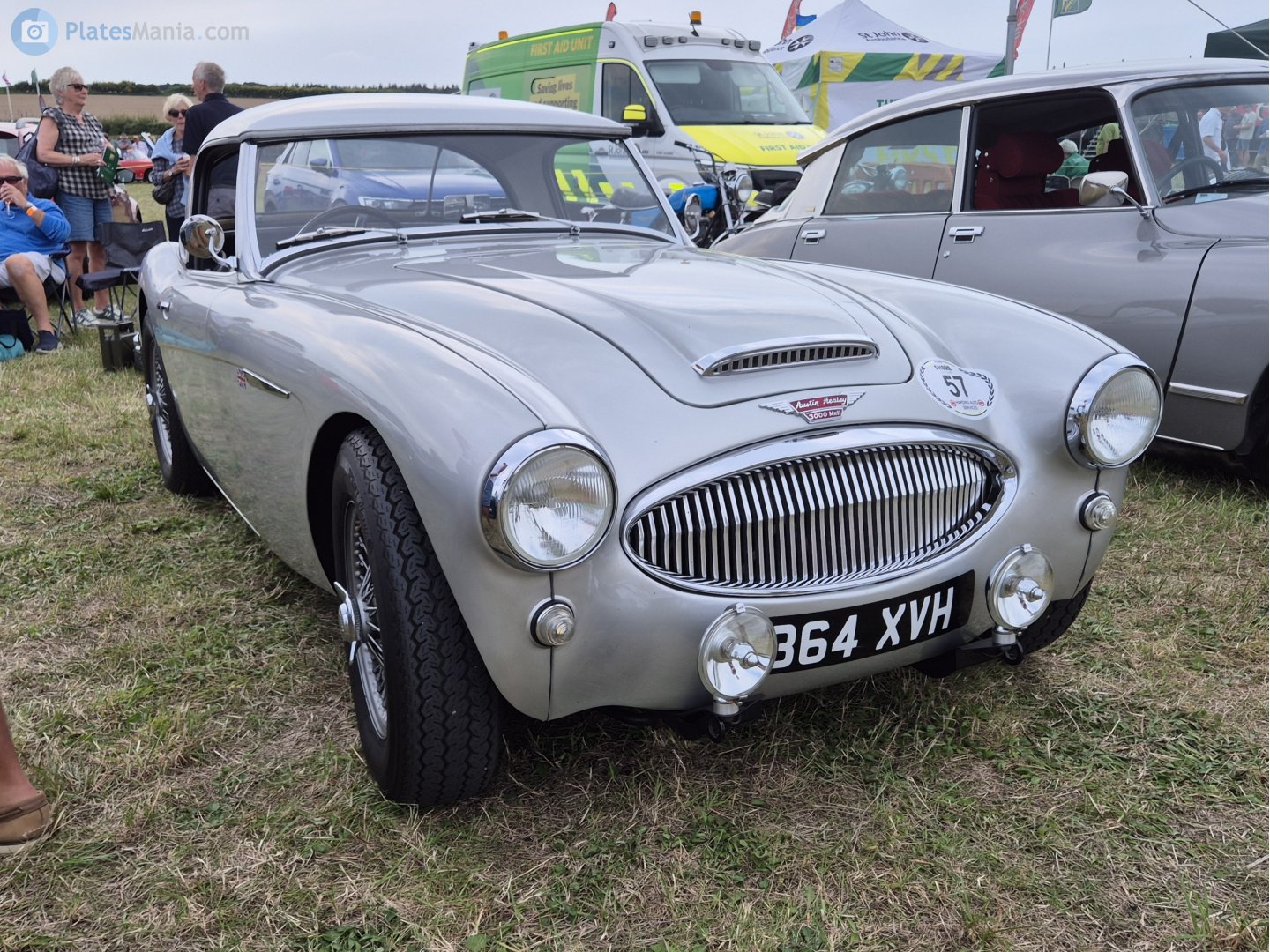 364XVH, Austin-Healey 100/3000 