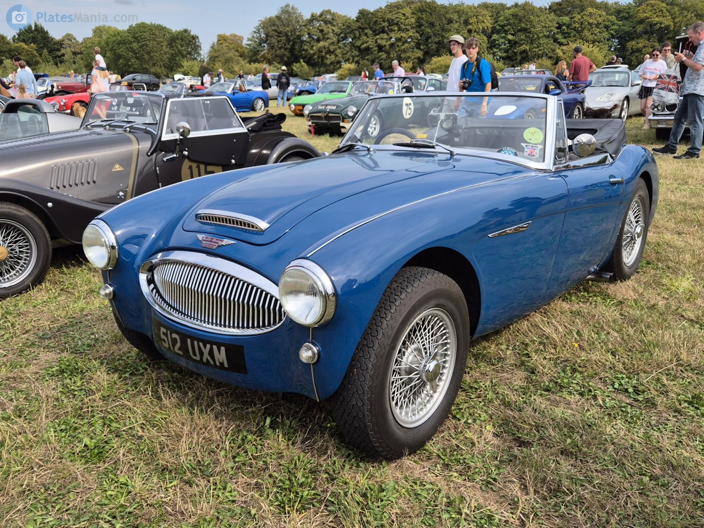 512UXM, Austin-Healey 100/3000 