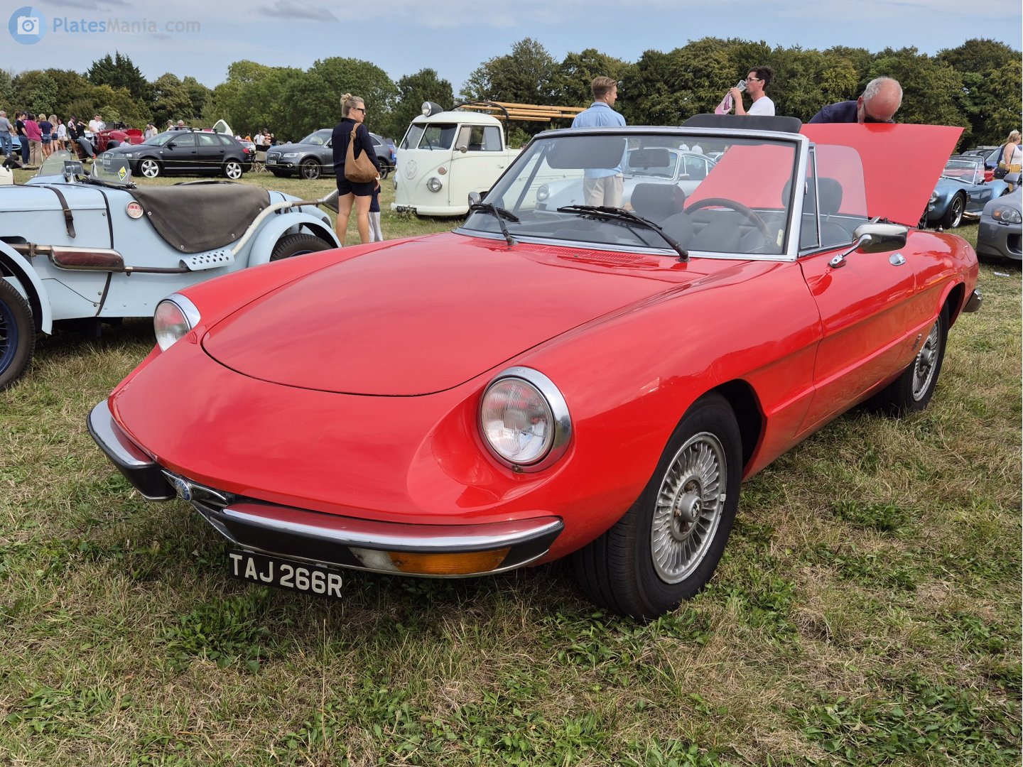 TAJ266R, Alfa Romeo Spider 2nd gen, 1969–1982