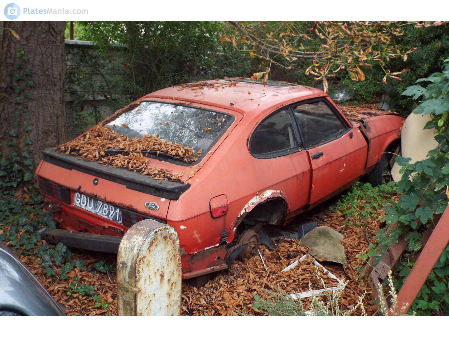 GDU 7891, Ford Capri 3rd gen (MkIII / GECP), 1978–1986