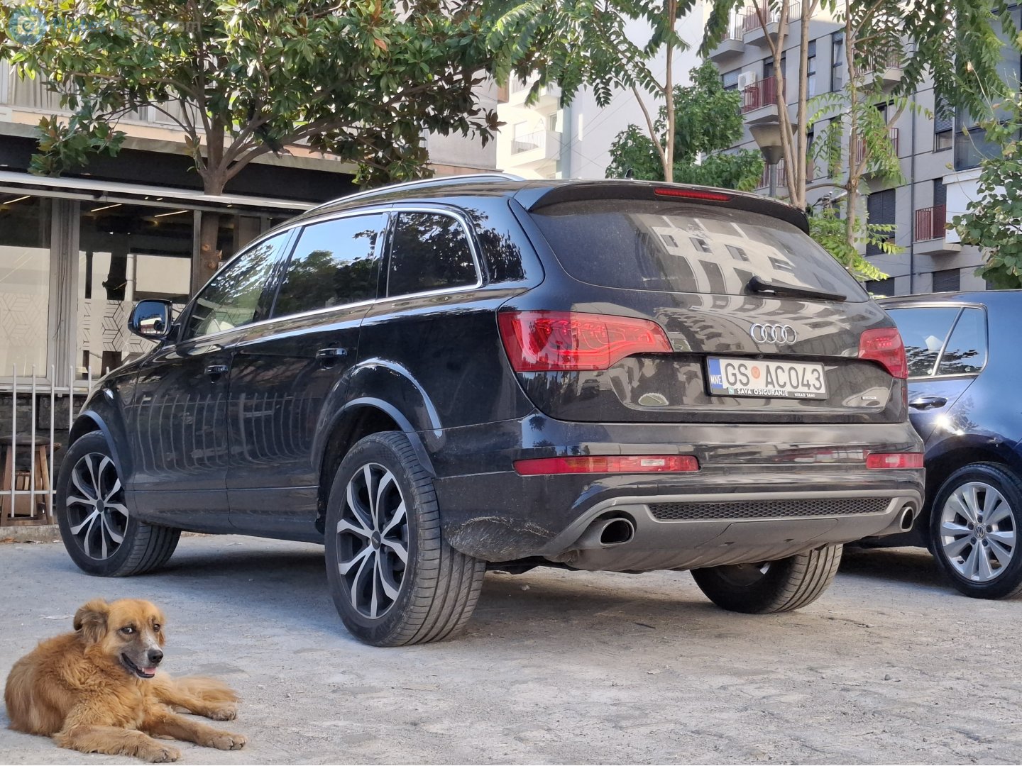 GS AC043, Audi Q7 1st gen (4LB), facelift, 2009–2015