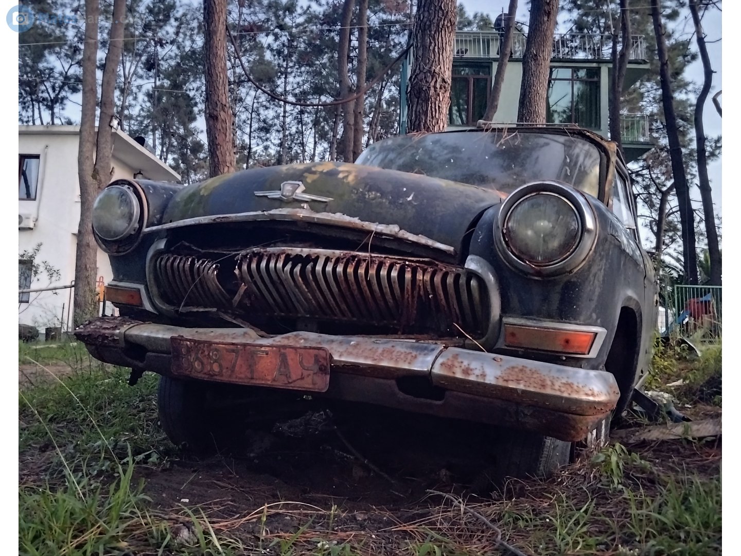 8687 ГАЧ, License plate without vehicle 