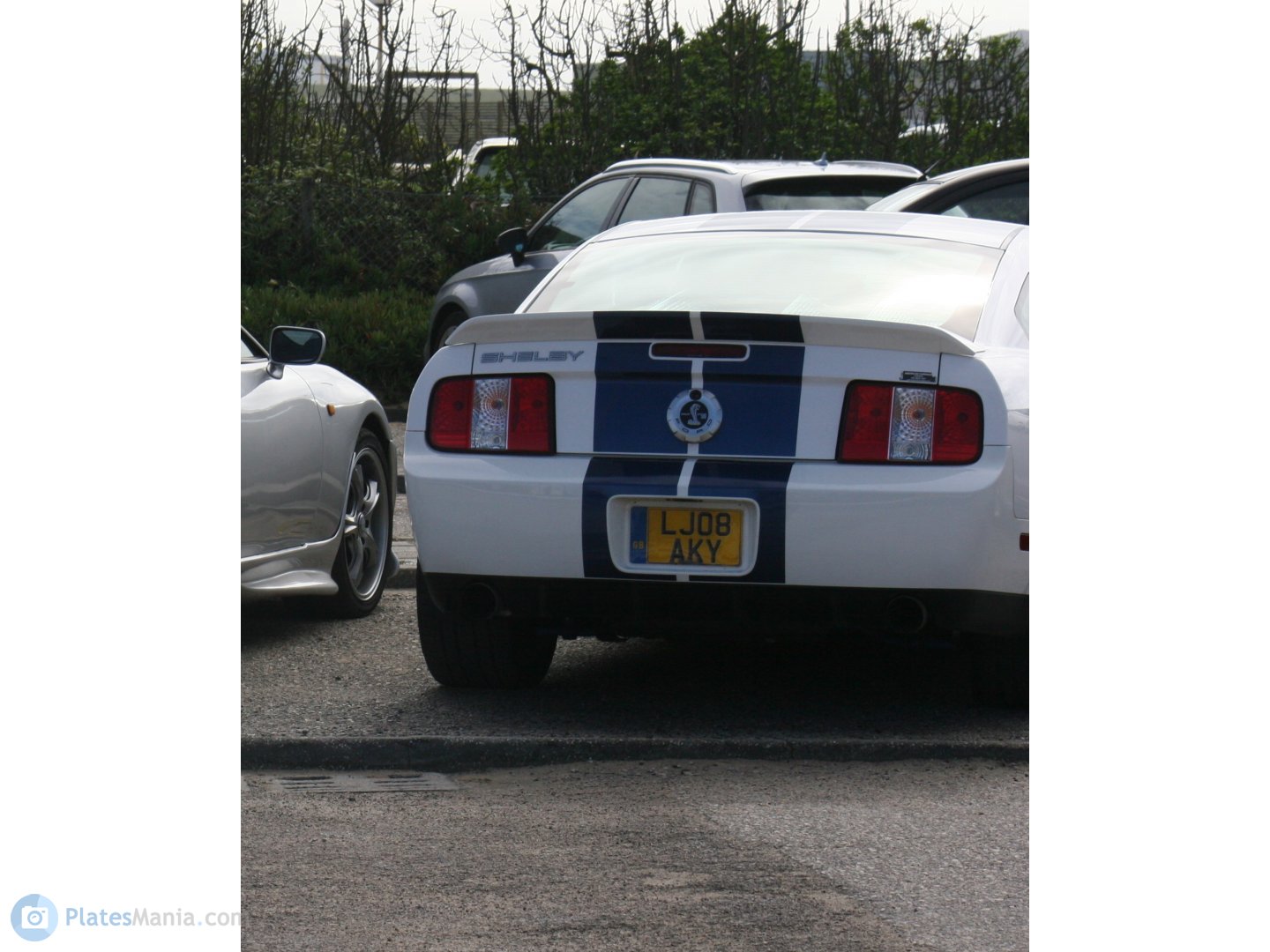 LJ08AKY, Ford Mustang 5th gen Shelby 2-door Coupé (S197), 2005–2009