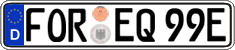 German license plate, Electric vehicles