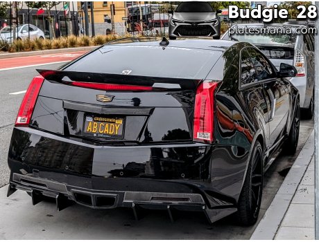 ABCADY, Cadillac CTS