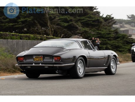 7OGRIFO, Iso Grifo