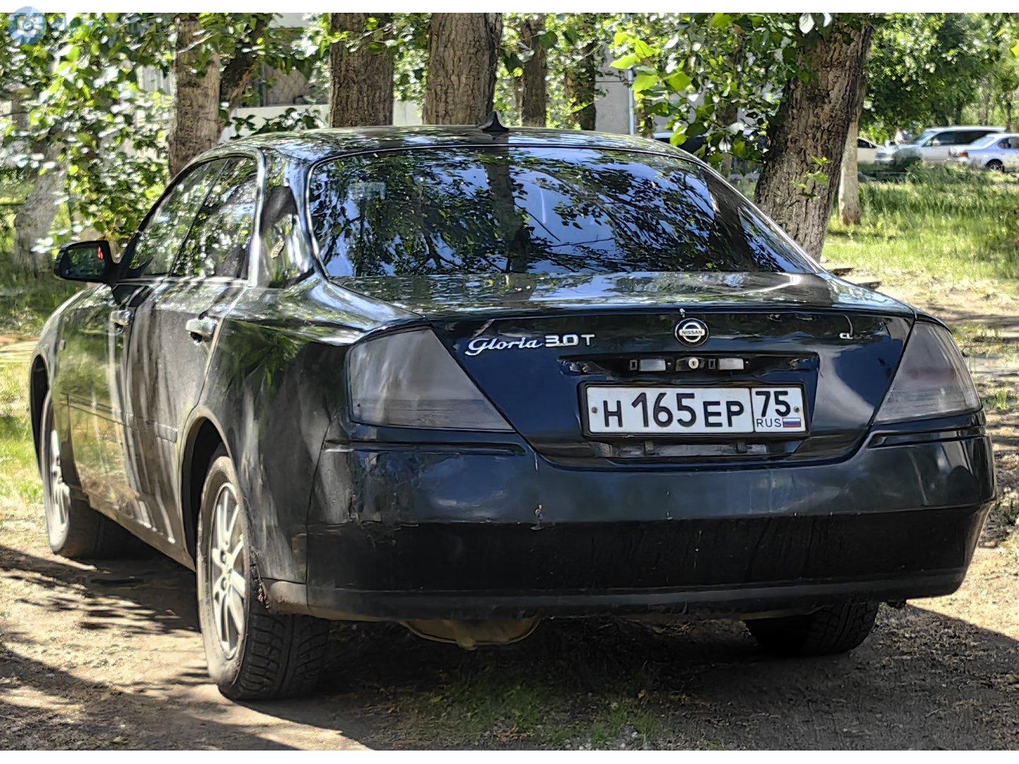 н 165 ер 75, Nissan Gloria 11th gen (Y34), 1999–2004