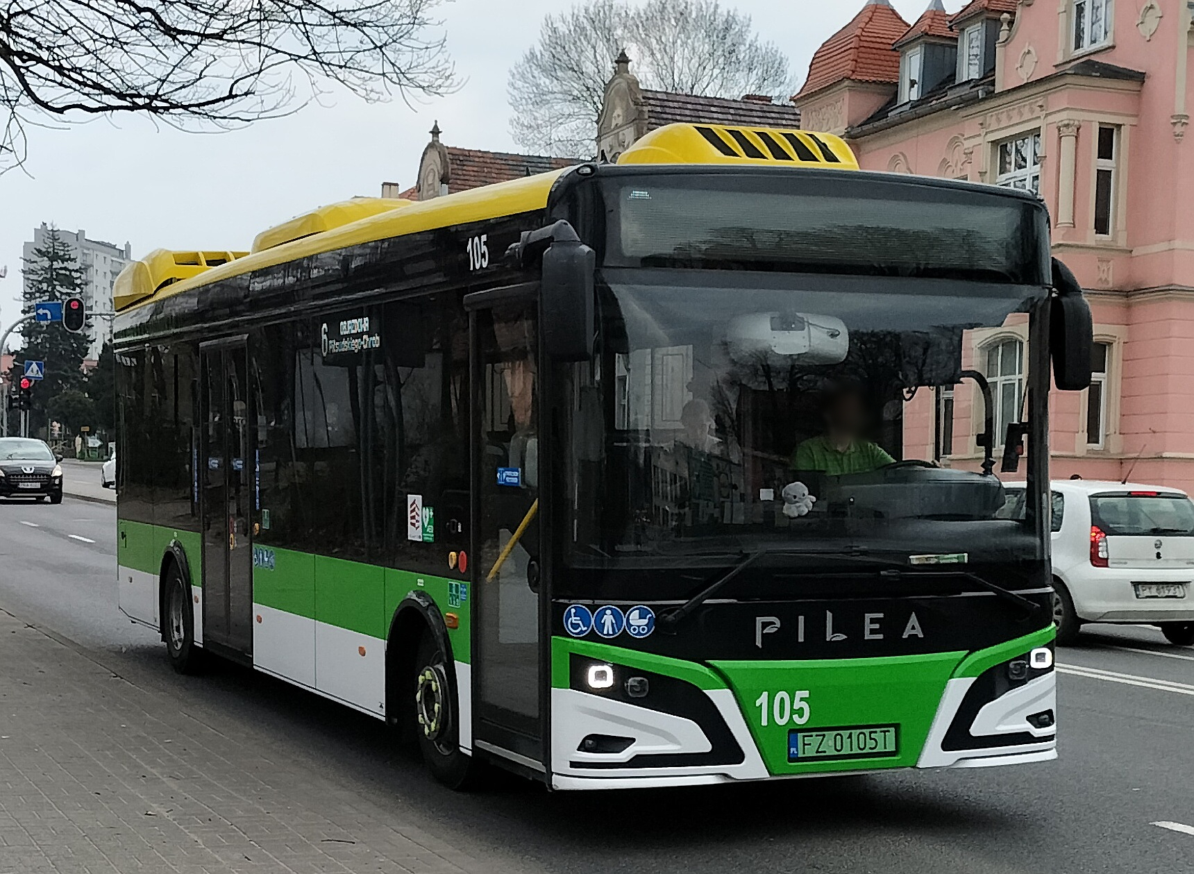 FZ 0105T, ARP e-Vehicles Pilea 10 