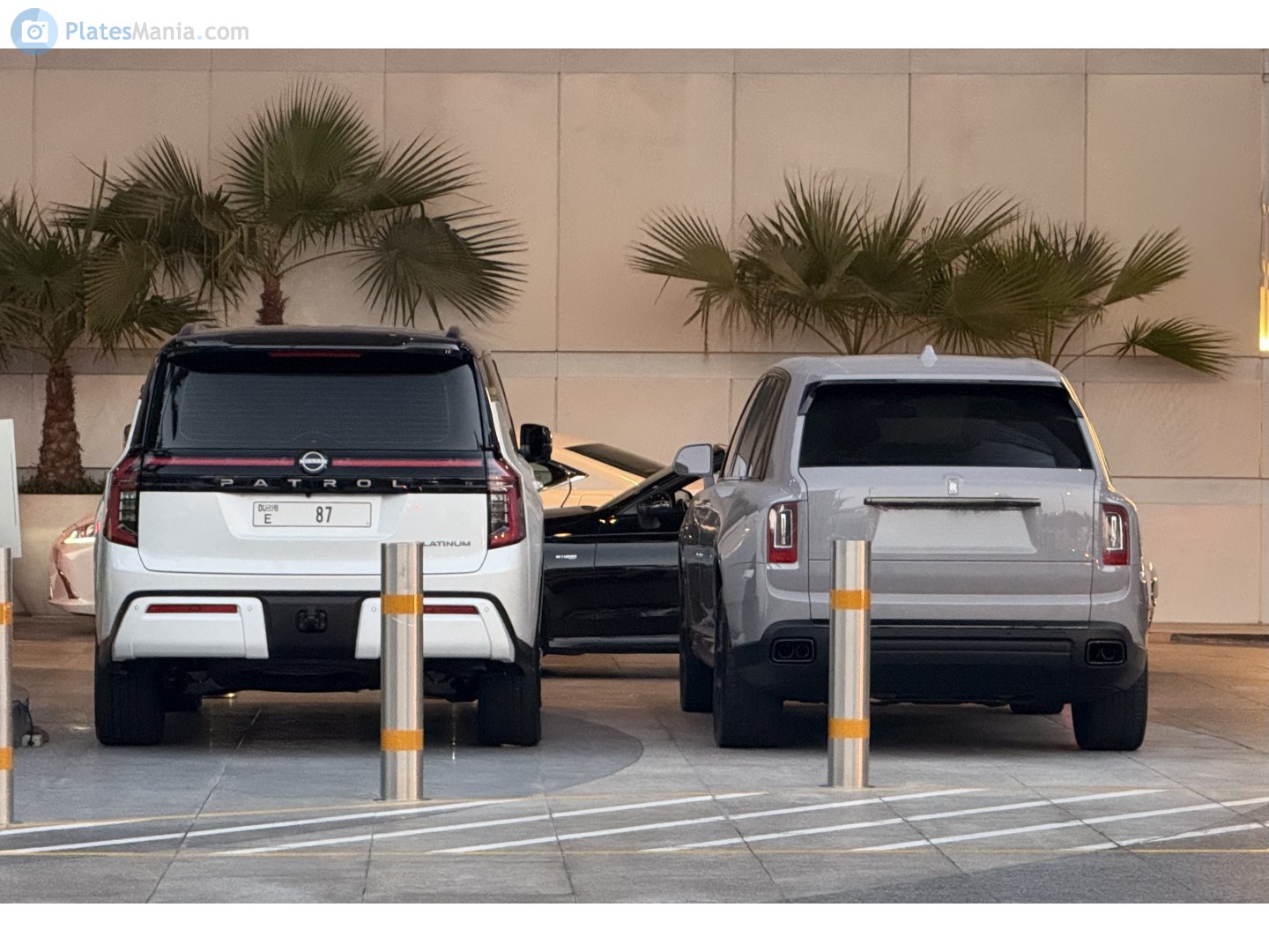 E 87, Nissan Patrol 7th gen (Y63), 2024–