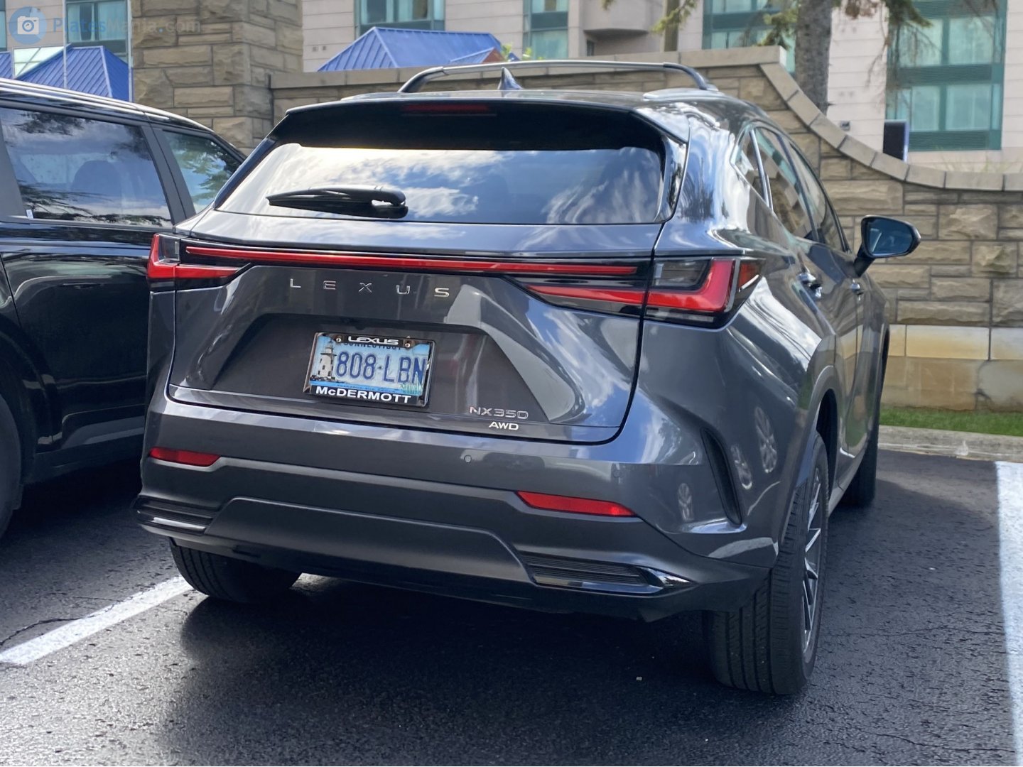 808-LBN, Lexus NX 2nd gen (AZ20), 2021–