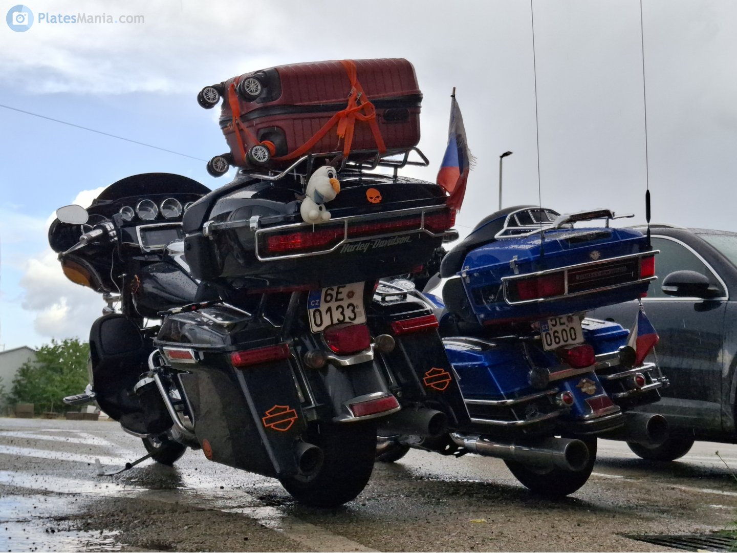 6E 0133, Harley-Davidson FL 