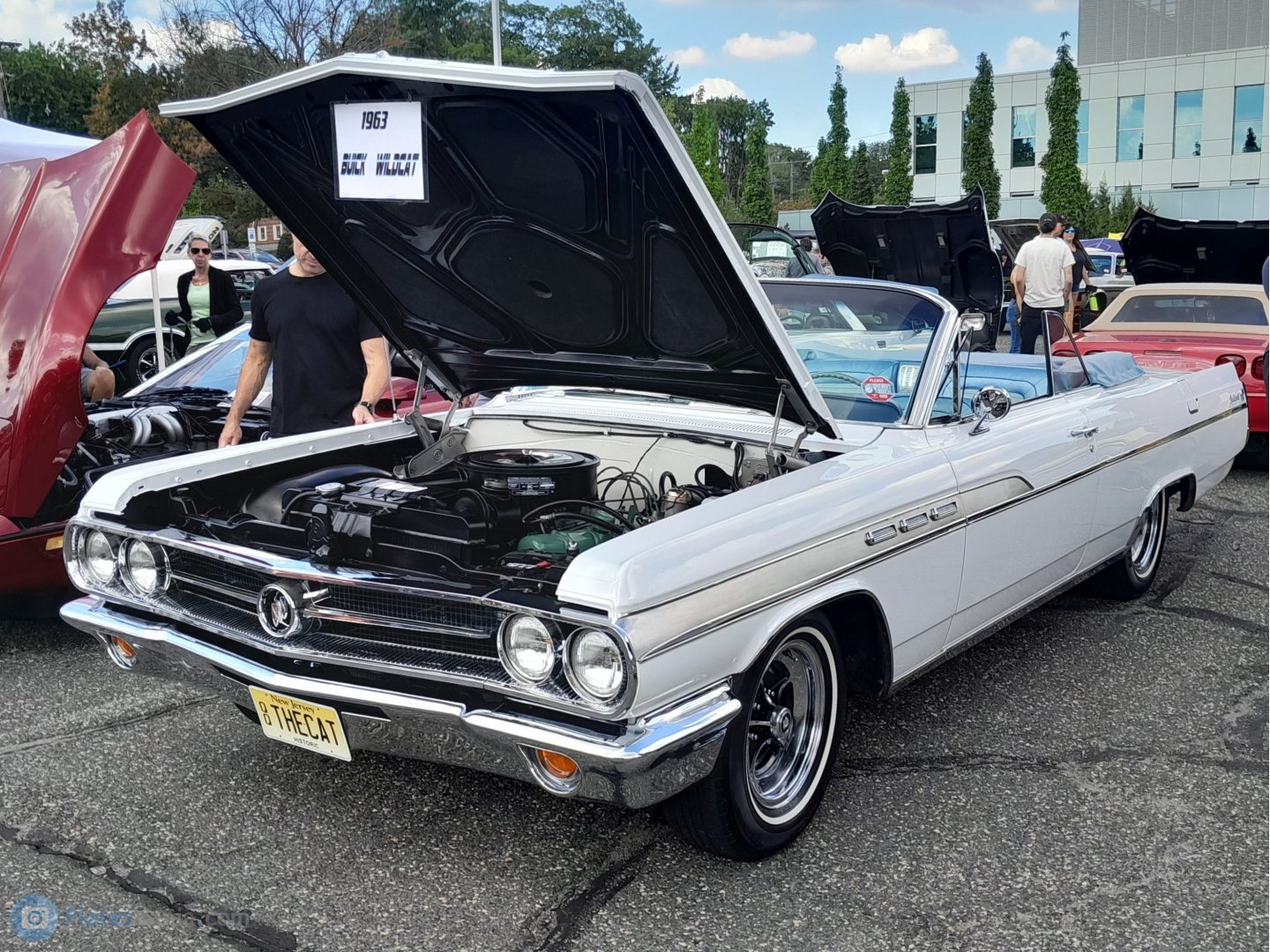 THECAT, Buick Wildcat 1st gen 1963 2-door Convertible (4667; B-body), 1962–1963