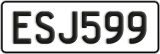 ESJ599