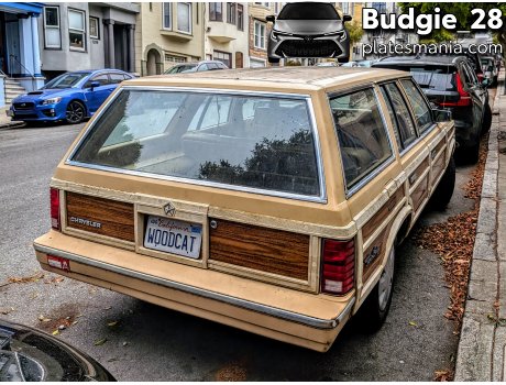 WOODCAT, Chrysler LeBaron