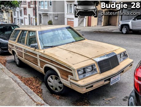 WOODCAT, Chrysler LeBaron