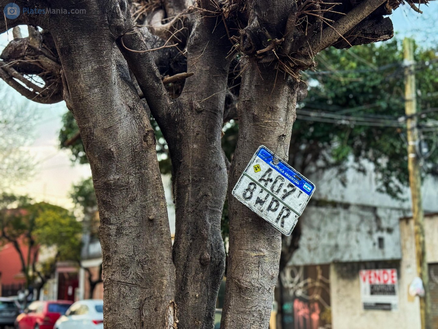 A078WPR, License plate without vehicle 