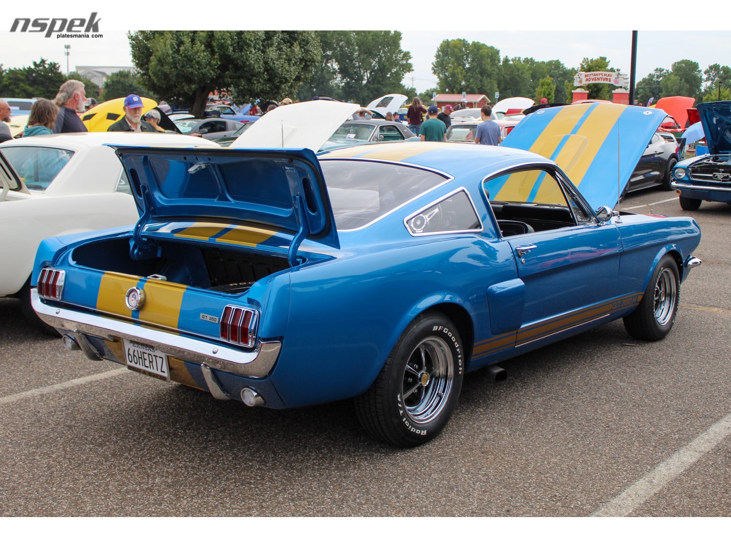 66HERTZ, Ford Mustang 1st gen Shelby 2-door Fastback, 1964–1970
