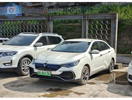 渝A·A01783, Venucia D60