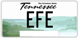 Tennessee, Vanity Plates