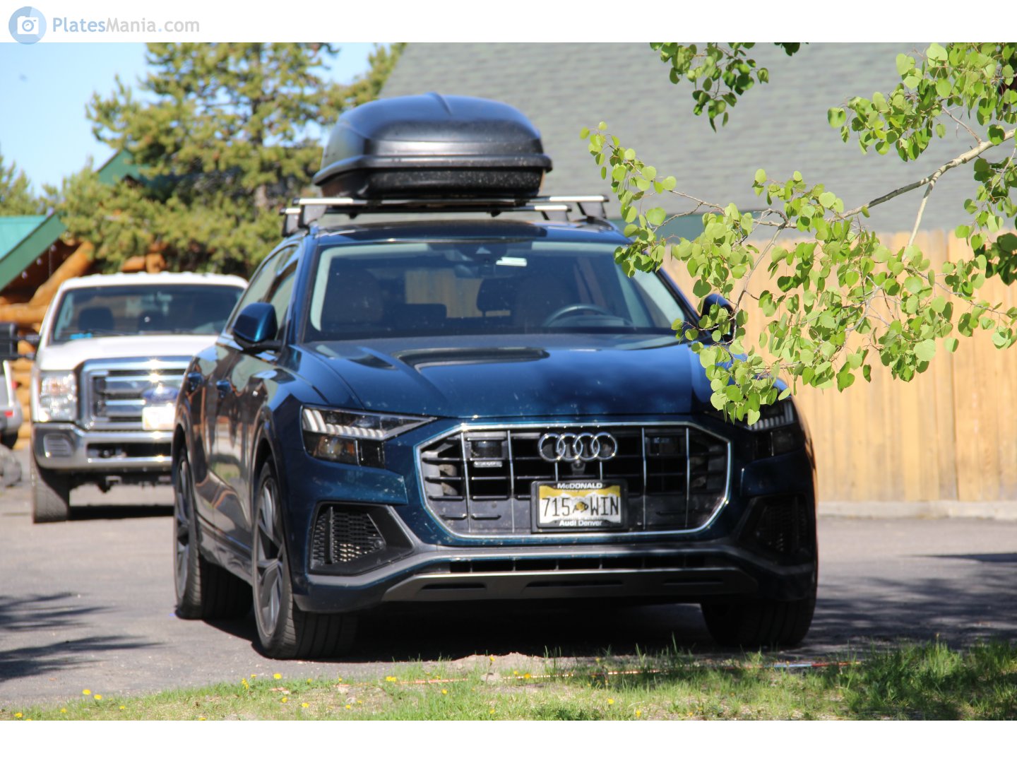 715-WIN, Audi Q8 1st gen (4MN), 2018–2023