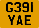 G391YAE