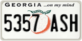 Georgia, 1234 ABC