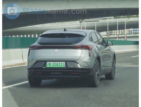 沪B·D16121, Buick Electra