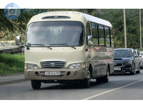 о301уе125, Hyundai County