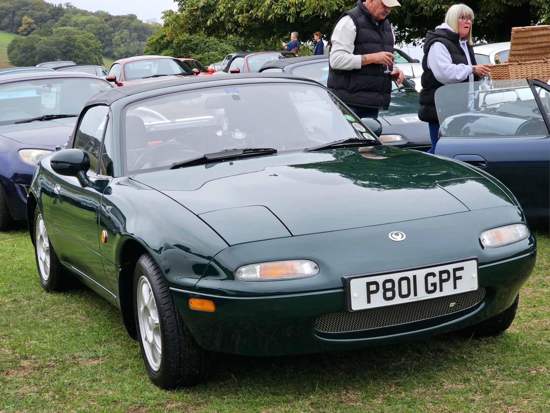 P801GPF, Mazda MX-5/Miata 1st gen (NA), 1989–1997