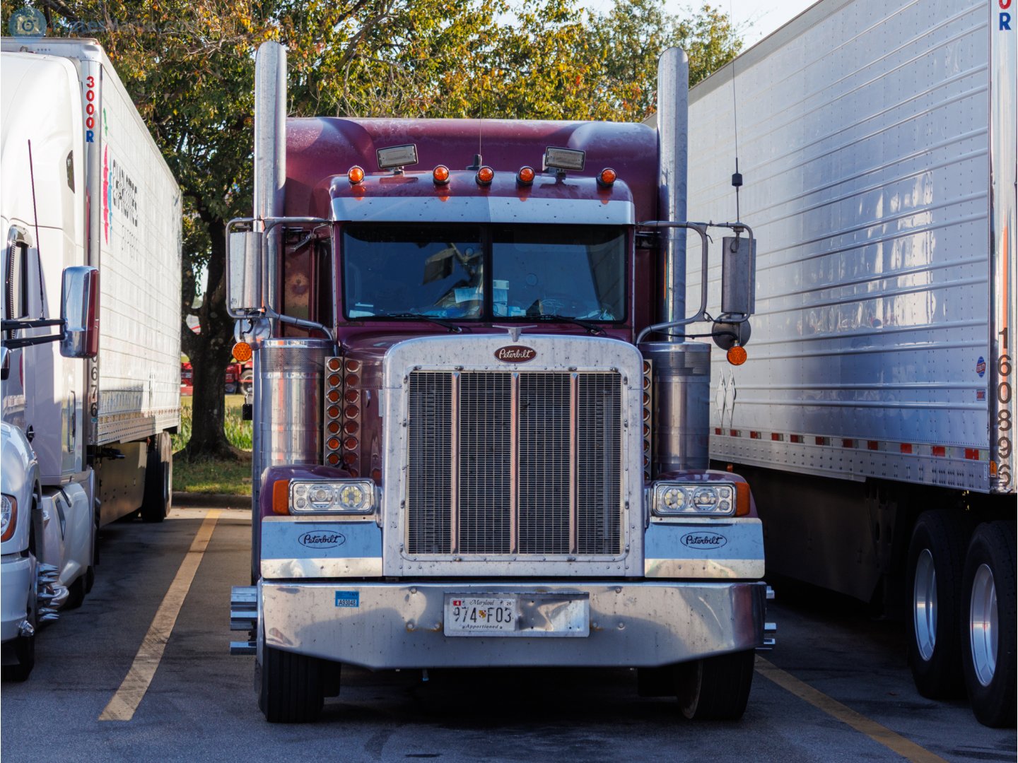 974 F03, Peterbilt 379 