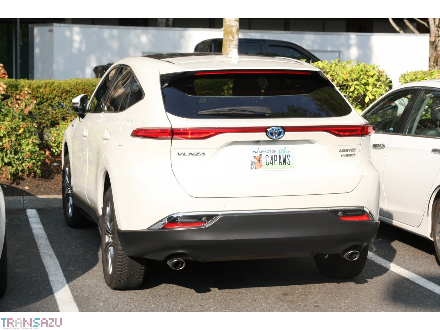 C4PAWS, Toyota Venza 2nd gen (XU80), 2020–2024