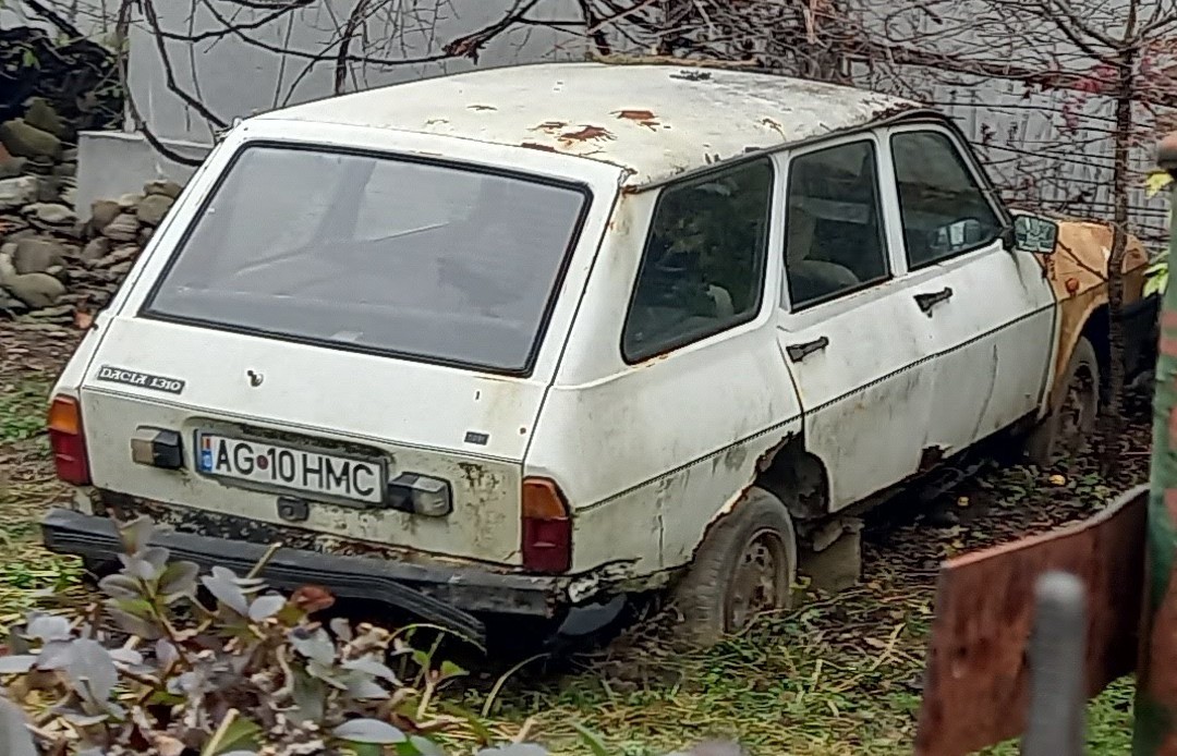 AG 10 HMC, Dacia 1310 1st gen Wagon (CN1/CN2/CN3), 1st facelift, 1991–1998