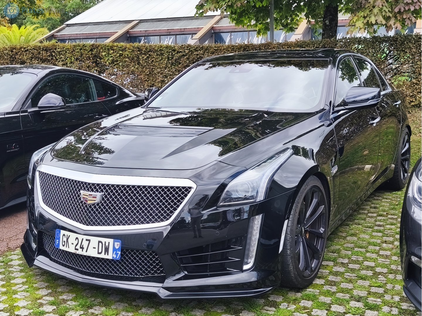 GK-247-DW, Cadillac CTS 3rd gen V (Alpha), 2016–2019