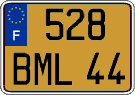 French license plate, FNI