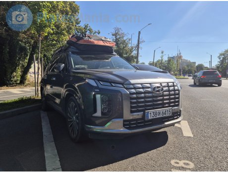 138어 6415, Hyundai Palisade