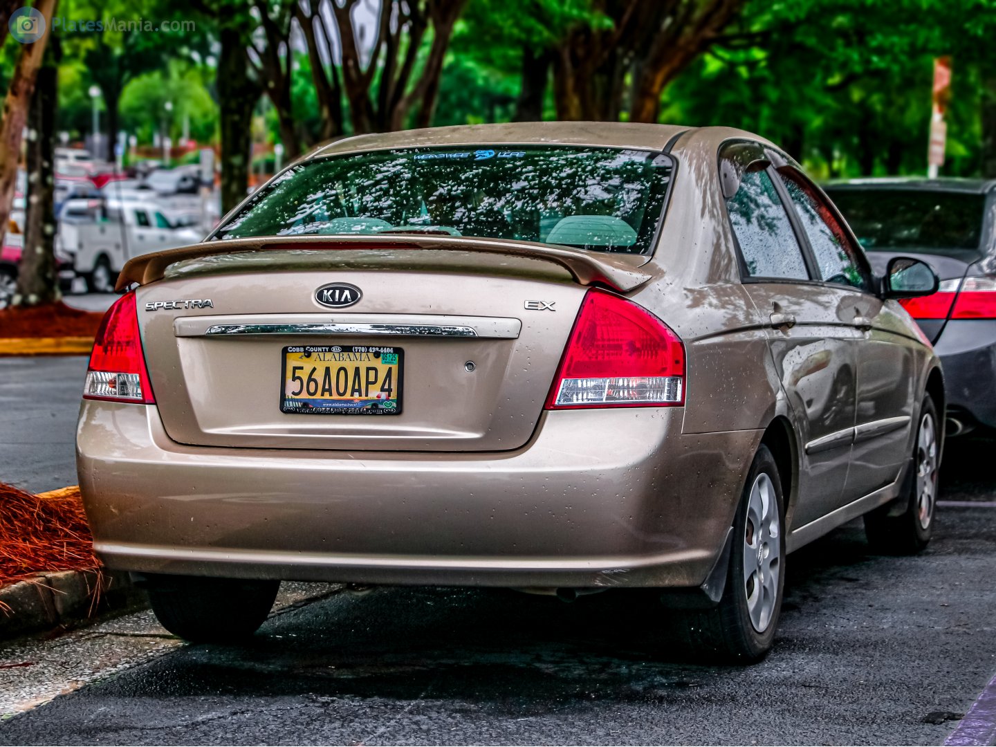 56A0AP4, Kia Spectra 2nd gen Sedan (LD; American-market), facelift, 2006–2009