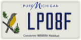 Michigan, Specialty plates (AB12C)