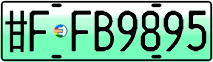 License plate of China, Electric vehicles
